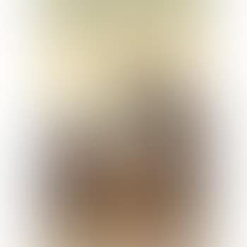 An Adult And Immature Peregrine (preview)