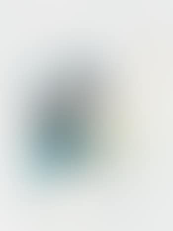 Studie zum Bildnis einer Dame (preview)