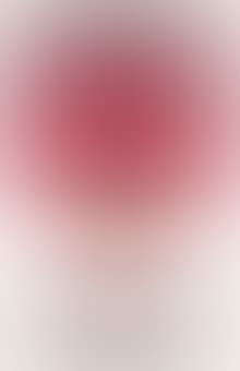 Campbell's Soup I: one plate (F. & S. II.47) (preview)