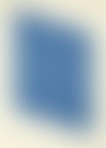 Untitled: one plate (preview)