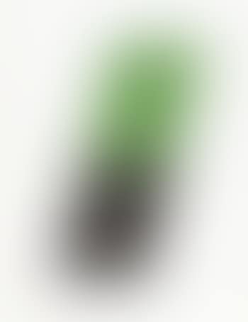 Green/Black (preview)
