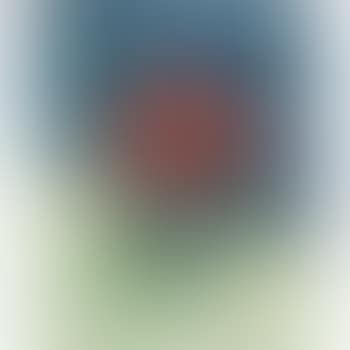Blumenstillleben (preview)