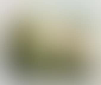 Untitled; and three companion works (preview)