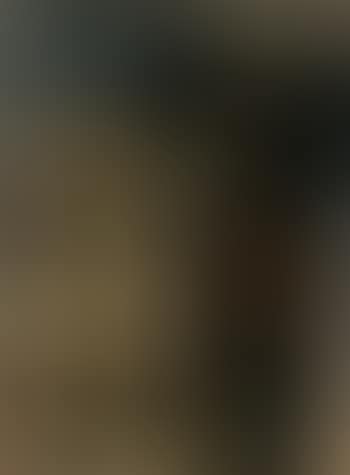 Frau und Droschke (preview)