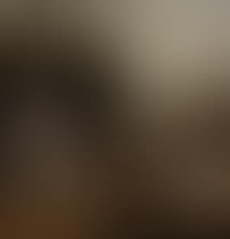Four greyhounds in a wooded landscape (preview)