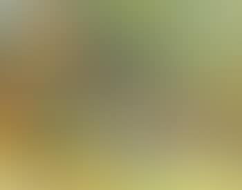 Epping forest (preview)