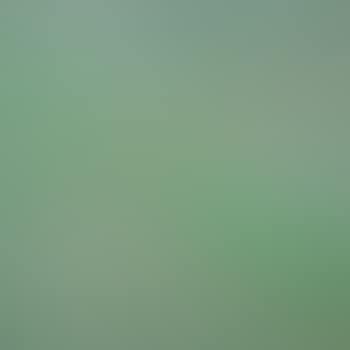 Lente (preview)