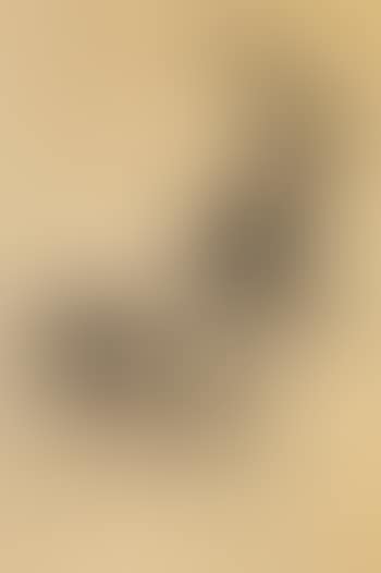 Illustrationsentwurf (preview)