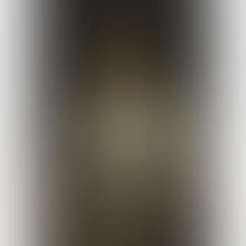 Portrait Of An Old Woman, Three-quarter-length, Seated, In A Gray Dress (preview)