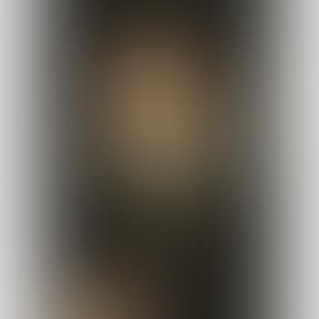 Portrait Of A Lady, Possibly A Member Of The Brandt Family (preview)