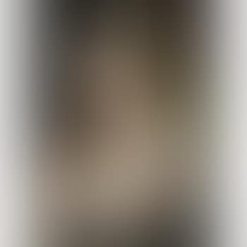 A Woman With A King Charles Spaniel (preview)
