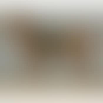 A Study Of A Horse (preview)