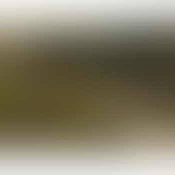 The Bather (preview)