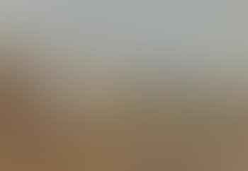 Sheep at rest by a clifftop (preview)