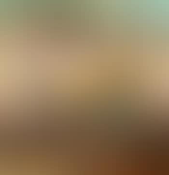 Shoalhaven landscape (preview)