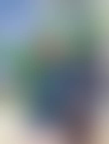 Blumen (preview)