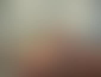 Poires, raisins, noix (preview)