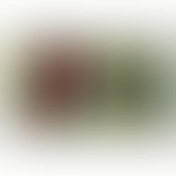 La Feuille Rouge (Composition À L'algue Rouge) (preview)