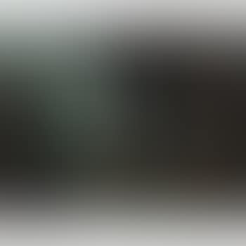 Le Moulin (preview)