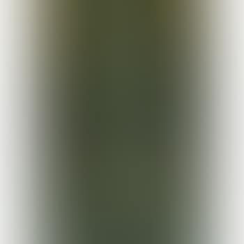 Jet D'eau (preview)