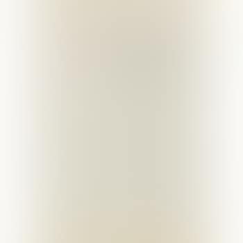 Rembrandt Et Femme Au Voile (B. 214) (preview)