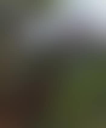 Die Läuterung des Hl. Hubertus (preview)