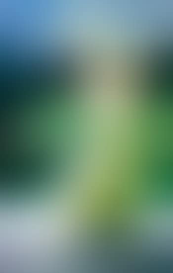 Ohne Titel (preview)