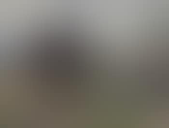 Treiber mit Packesel und zwei Hunden (preview)