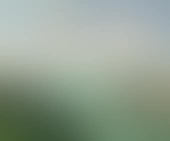 Honfleur (preview)