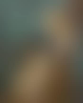 Little owls (preview)