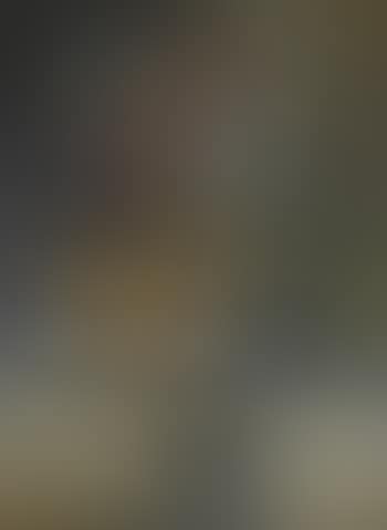 Untitled (preview)