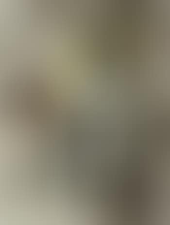 Ohne Titel (preview)