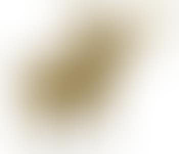 A ram (preview)