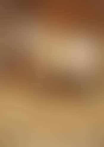 Horse and terrier in a stable interior (preview)