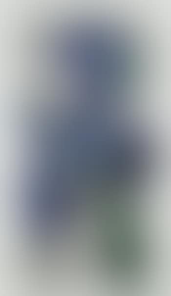 Dutch iris (preview)