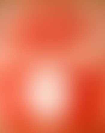 Poppies (preview)