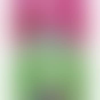 Parallelogram (Masculine Pink/Feminine Green) (preview)