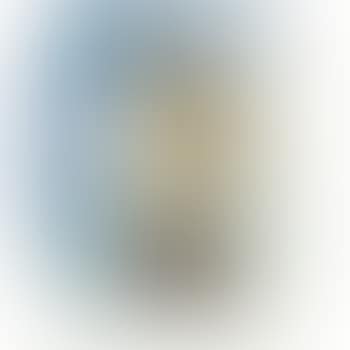 Untitled (preview)