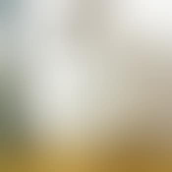 Vase (preview)
