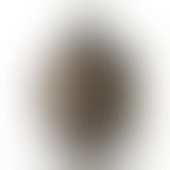 Vase (preview)