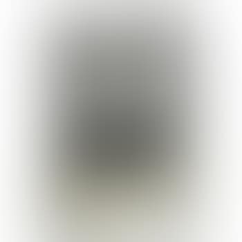 Vase (preview)