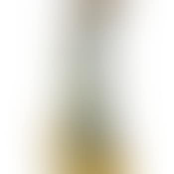 Two Vases (preview)