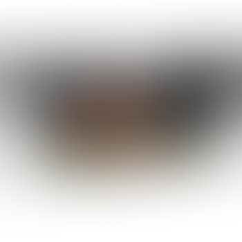 Dish (preview)