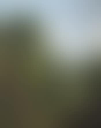 Landschap (preview)