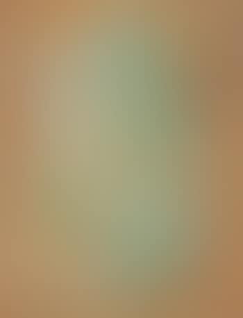 Compositie (preview)