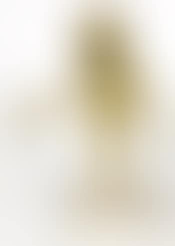 Zapotheque (preview)