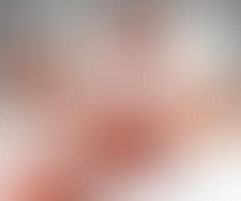 Stilleven (preview)
