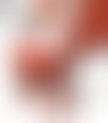 Geit (preview)