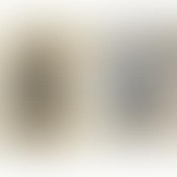 Woman And Her Shadow And Two Women And Their Shadows: Two Works (preview)