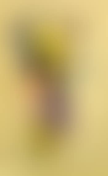 Untitled (nude art) (preview)